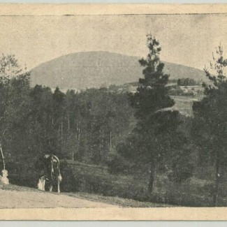 Grybów. Widok na okolicę