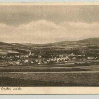 Grybów. Widok ogólny