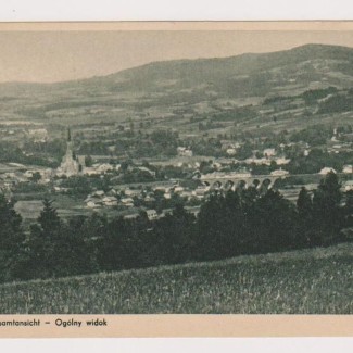 Grybów. Widok ogólny