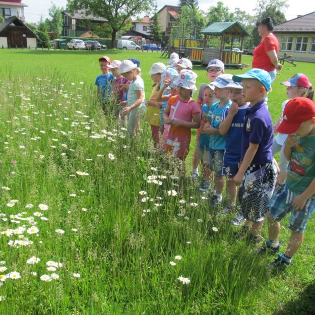 Przedszkolny ogród