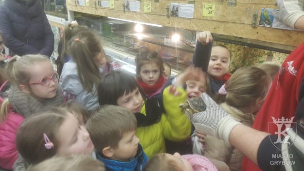 2017-01-09/10: Zielona godzina w Mini Zoo