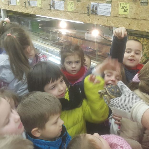 2017-01-09/10: Zielona godzina w Mini Zoo