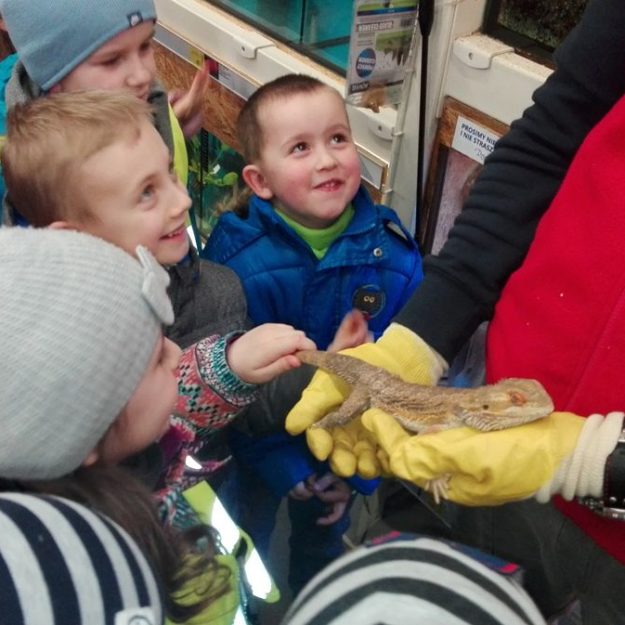 2017-03-20/28: "Zielony Dzień" - powitanie wiosny w przedszkolu