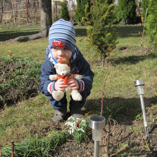 2017-05-23: Mały Miś w świecie wielkiej literatury