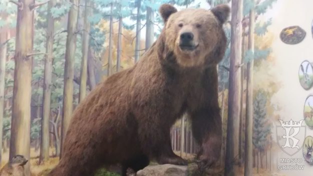 2017-11-08: Wycieczka do Muzeum Przyrodniczego w Ciężkowicach