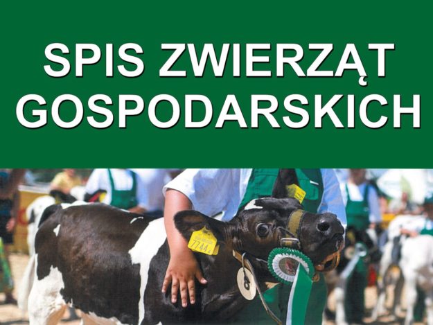 spis, bydło, zwierzęta, rolnik, arimr