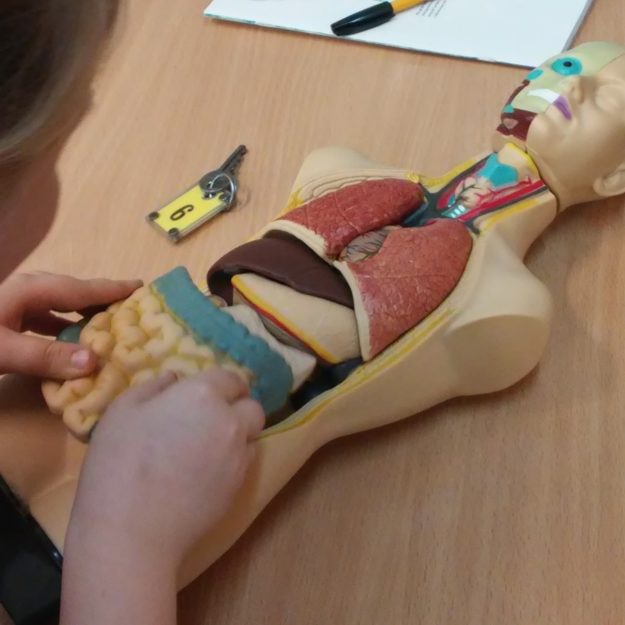 Kółko przyrodnicze nr 2 w ramach projektu "Nowoczesna Szkoła"