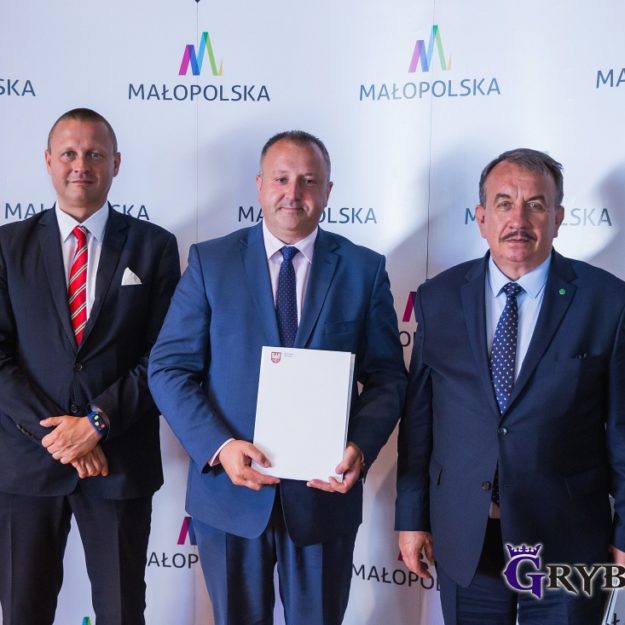 2018-06-06: Projekt Małopolski Tele-Anioł