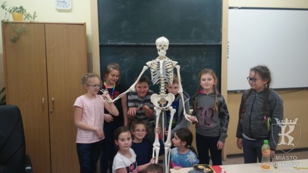 2018-10/12: Kółko Przyrodnicze nr 2