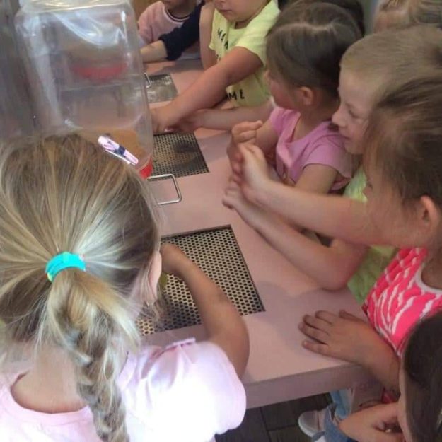 2019-05-27: Wycieczka do Muzeum Lizaka w Jaśle