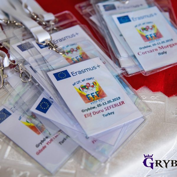 Realizacja projektu Erasmus+ 2018-2020 "Fit for Future"