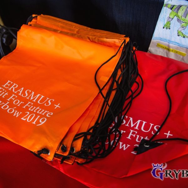 Realizacja projektu Erasmus+ 2018-2020 "Fit for Future"