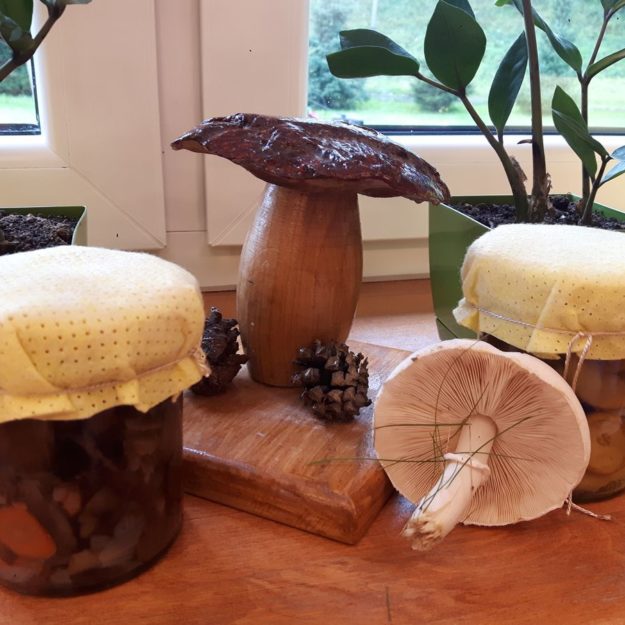 2019-09-24: Powitanie Jesieni oraz Dzień Grzyba