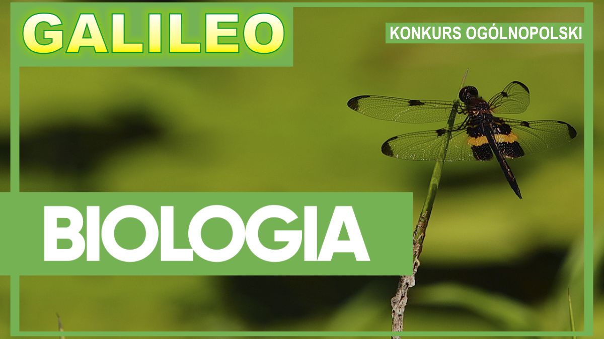 Galileo Konkurs Biologia Uczniowie grybowskiej Jedynki laureatami w Ogólnopolskim Konkursie
