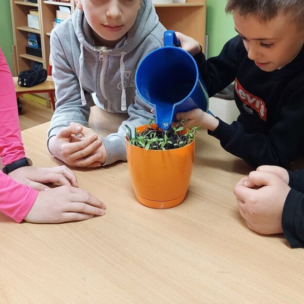 Roślinki posadzone przez uczniów