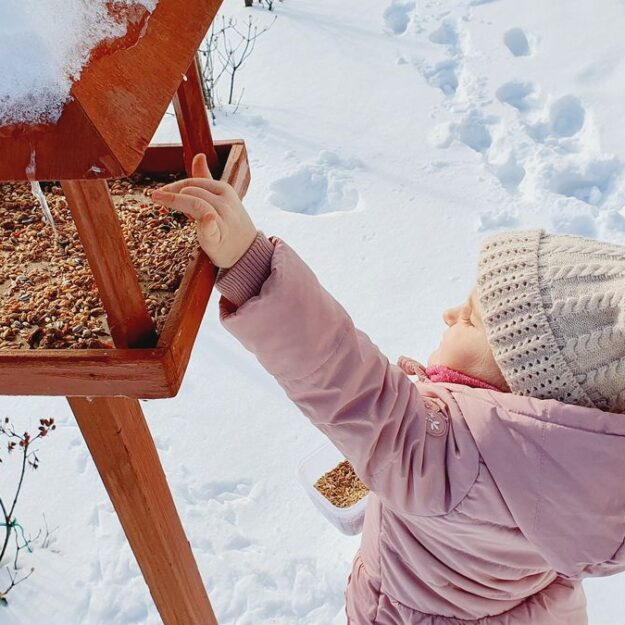 Dziewczynka wsypująca nasionka do karmnika