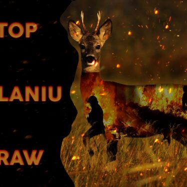 Na czarnym tle napis - STOP SPALANIU TRAW, sarenka w tlącej się trawie i ludzie rozniecający ogień