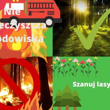 Słońce przebijające się przez drzewa w lesie, kwiaty, straż pożarna, ogień, płonący las