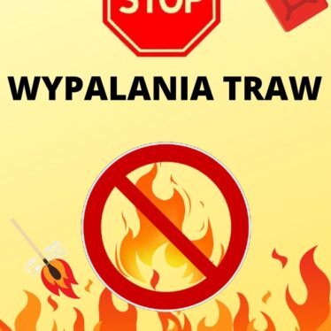Żółte tło, ogień, zapałki, kanister z benzyną, znak STOP wypalaniu traw