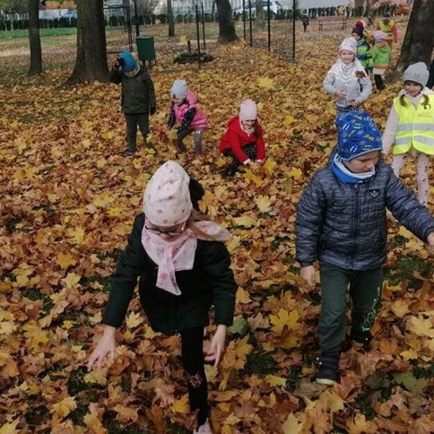 Na zdjęciu dzieci bigają po parku i zbierają liście