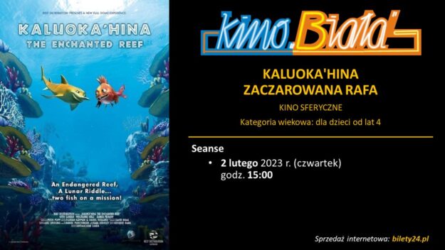 Grafika przedstawiająca harmonogram emisji filmu KALUOKA'HINA - ZACZAROWANA RAFA