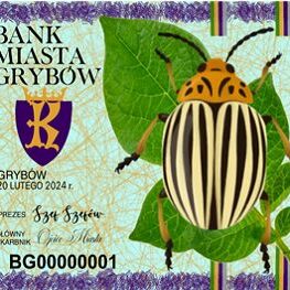 Projekt miejskiego banknotu - awers