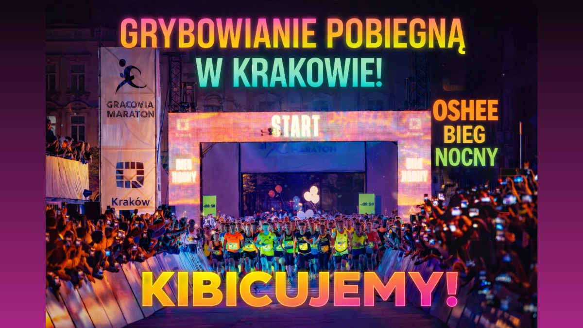 Grafika zapraszająca do udziału w OSHEE Biegu Nocnego