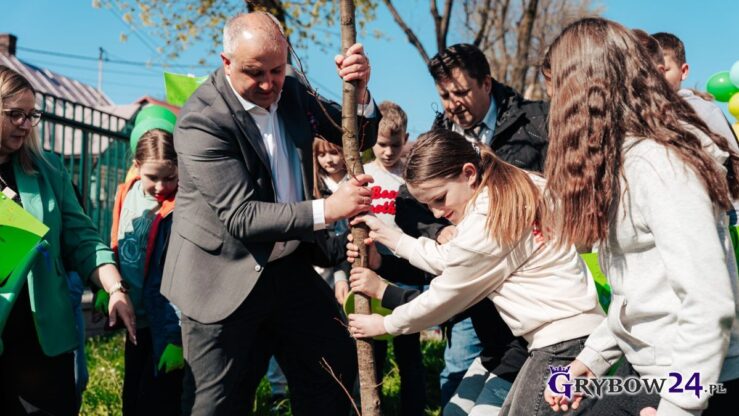 Burmistrz i uczennica sadzą drzewko