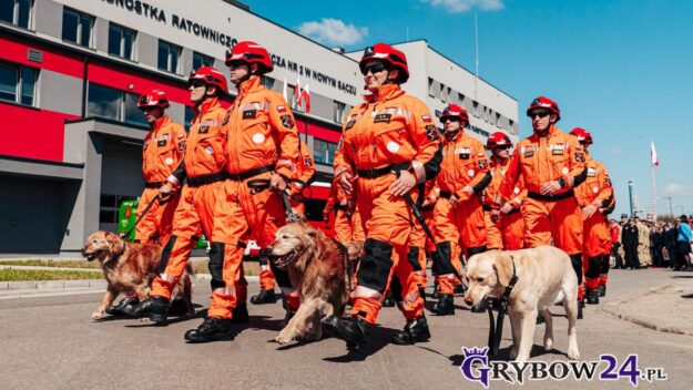 Grupa ratownicza z psami podczas przemarszu