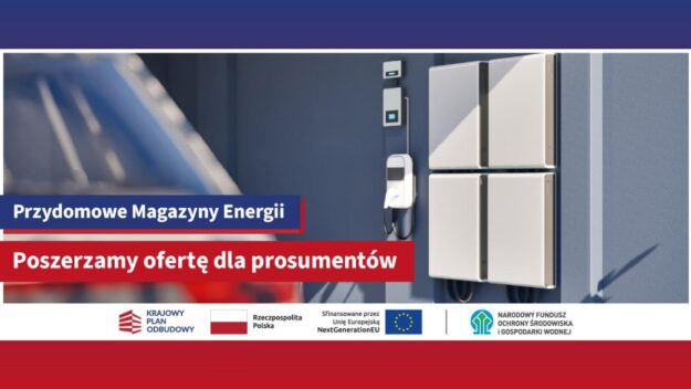 Grafika tematycznie związana z przydomowymi magazynami energii