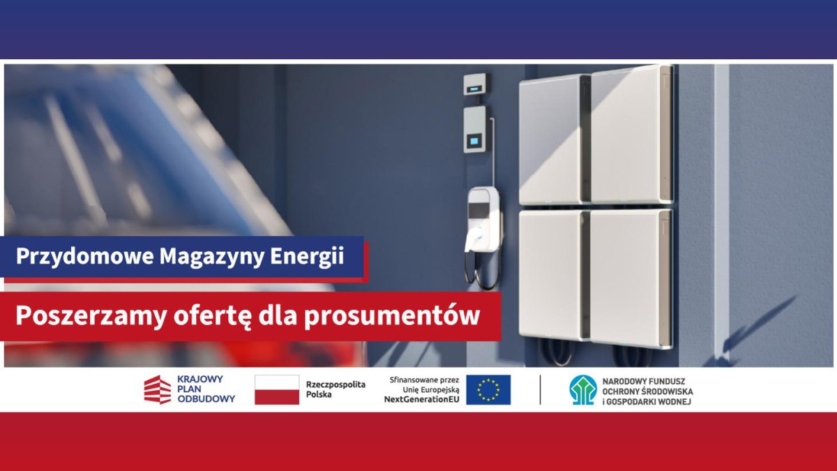 Grafika tematycznie związana z przydomowymi magazynami energii